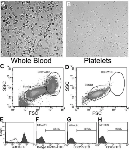 Figure 2. Analysis of platelet quality using light microscopy and flow cytometry. A, B