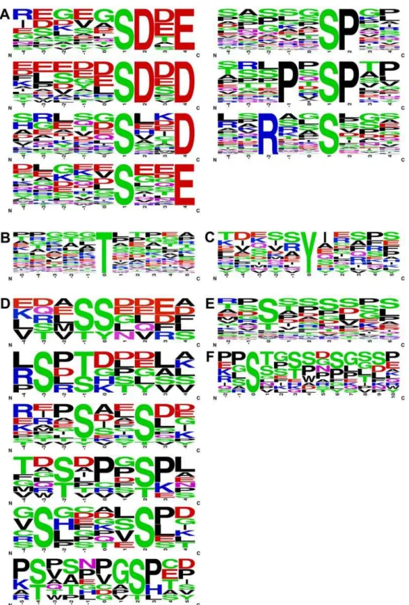 Figure 8. Computational identification of sequence motifs in phospho-peptides. A–C. Phospho-peptides containing single phosphorylation at (A) Ser, (B) Thr or (C) Tyr were analyzed for the presence of sequence motifs using the Motif-X algorithm [44] as desc
