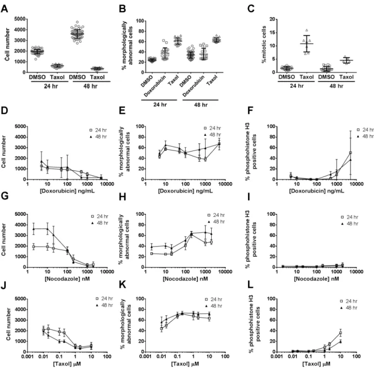 Figure 2. Validation of image analysis protocols. Clear delineation between positive (taxol and doxorubicin) and negative (0.2% DMSO) controls for the three endpoints assessed, cell number A), percentage morphologically abnormal cells B) and the percentage