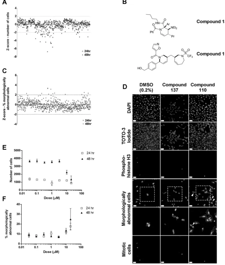 Figure 3. Screening a novel chemical library. A) Alterations in cell number A) after 24 (open squares) or 48 hours exposure (closed triangles) exposure to 329 diverse compounds, based on Z-scores calculated from negative controls, compounds above and below