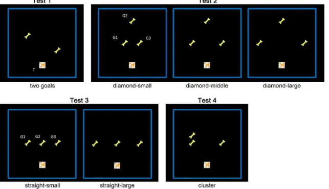 Fig. 2. TSP versions used during each test phase (Tests 1–4). The picture of the dog at the bottom of each task (T) represents the starting location of the target, and the pictures of the bone (G1, G2, [and G3]) represent the goals