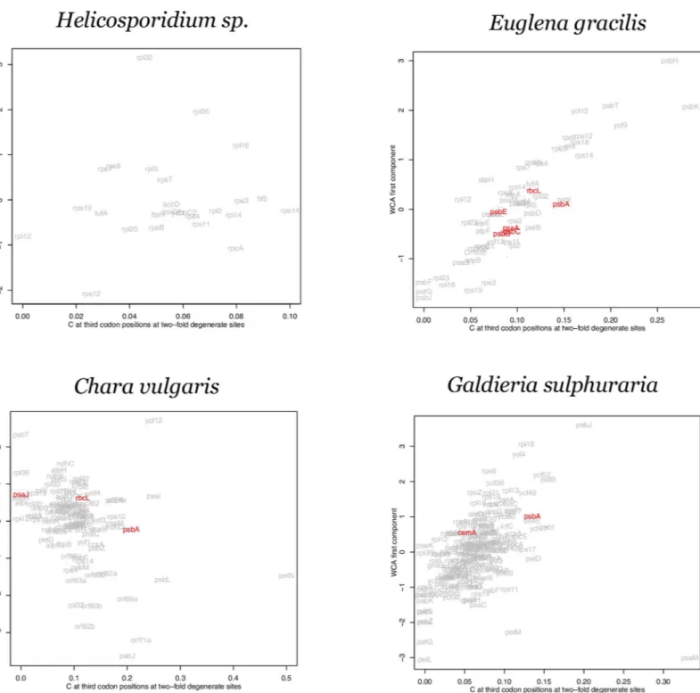 Fig 4. Within-group correspondence analysis (WCA) of codon usage for genomes with low S values