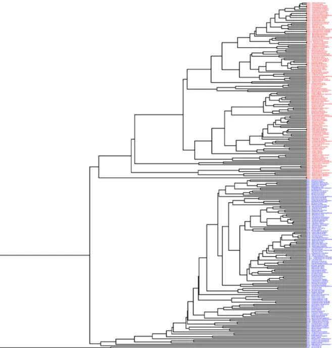 Fig 1. Codon usage patterns in plastid genes. A cluster of three putative high-translation (psbA, rbcL, psbC in red) and three putative low-translation (rps3, rps4, rpoB in blue) genes from 43 plastid genomes selected to represent the major lineages (see t