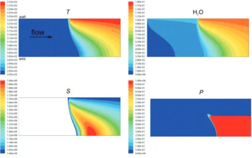 Fig. 2. Contours of temperature (upper left panel, T ), water vapour mass fraction (upper right panel, H 2 O), water vapour saturation ratio (lower left panel, S ), and heterogeneous  nucle-ation probability (lower right panel, P ) inside the TSI 3785 WCPC