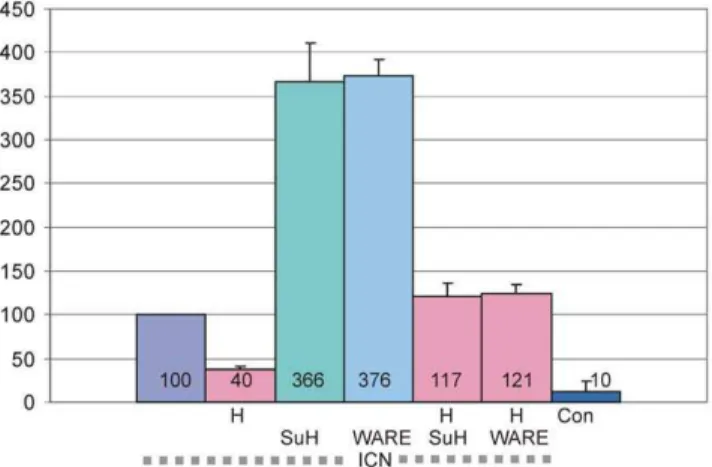 Figure 4. Activation and repression of a Notch reporter gene by Su(H) variants. Effects of the mutant Su(H) WARE (WARE) on Notch ICN mediated expression from the NRE-reporter (luciferase reporter containing wild type Su(H) binding sites, [13]) were analyse