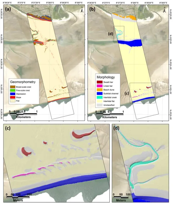 Figure 10. Two classifications derived from topobathymetric lidar data: (a) geomorphometric classification and (b) morphological classi- classi-fication