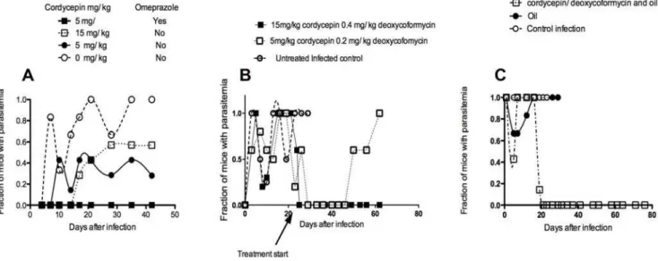 Figure 4. Curative effect of oral and subcutaneous inoculation of cordycepin and deoxycoformycin on early and late stage infection with T.b