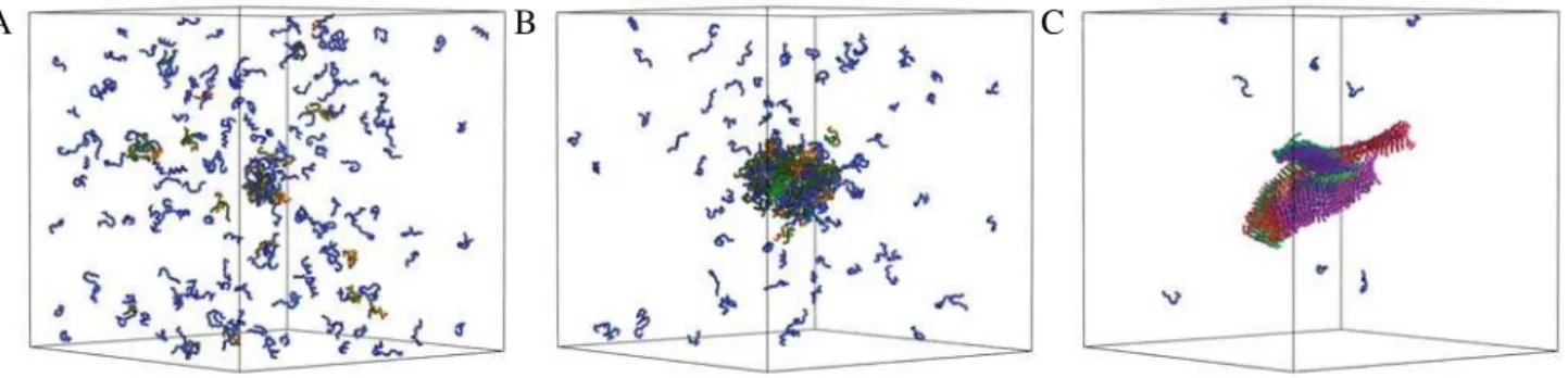 Figure 1. Illustration of the self-assembly process of peptides into amyloid-like assemblies