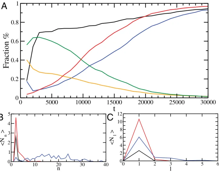 Figure 4. Analysis of the evolution of the structure of the oligomers over 11 independent simulations
