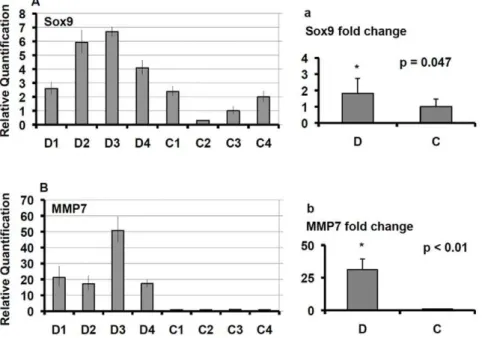 Figure 4. Real-time PCR analysis of Sox9 and matrix metalloproteinase 7 (MMP7) genes. The assay was performed on samples from four T2D subjects (D) and four controls (C)