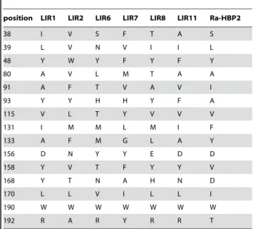 Table 3. Residues from LIRs corresponding to the conserved external lipocalin cluster (47).