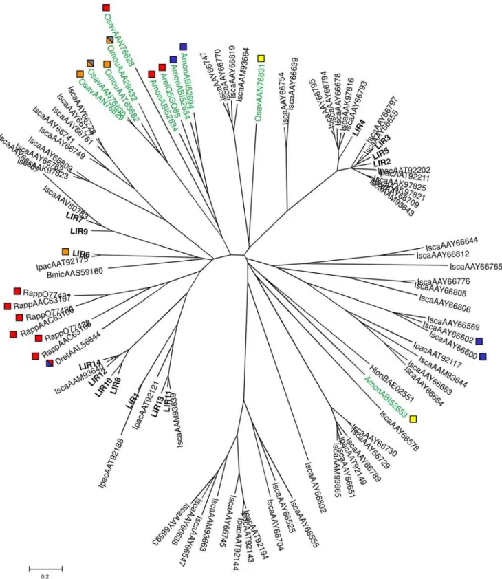 Figure 2. Radial phylogenetic tree of the hard tick lipocalin family. The tree was constructed by neighbor-joining analysis