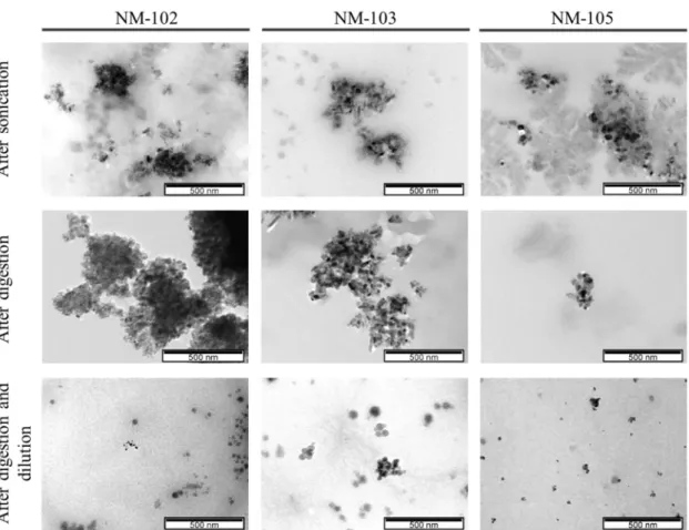 Figure 1. TiO 2  observed under electron microscopy, at a scale of 500 nm. 