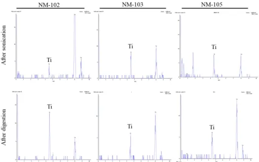Figure 2. TiO 2  observed under electron microscopy, at a scale of 200 nm. 