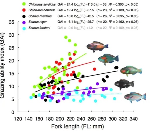 Figure 4 Relationships between fork length (FL) and grazing ability index (GAI) for the five parrotfish species