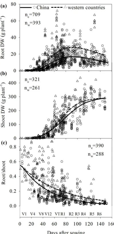 Fig 1. Comparison of the root and shoot dry weights and root/shoot ratio of maize varieties grown in China and western countries during maize growth