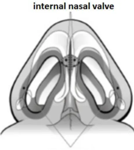 Ilustração 2 - Válvula interna e externa Ilustração 3 - Válvula interna e externa