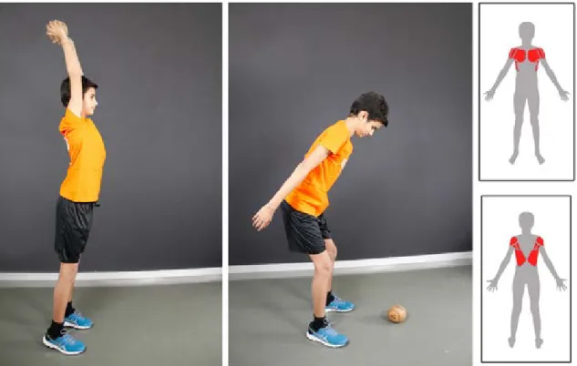 FIGURE 1. MEDICINE BALL THROW DOWN (WITH PRIMARY MUSCLES RECRUITED IN RED)