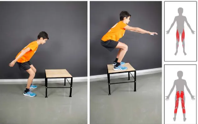 FIGURE 2. COUNTERMOVEMENT BOX JUMP (WITH PRIMARY MUSCLES RECRUITED IN RED)