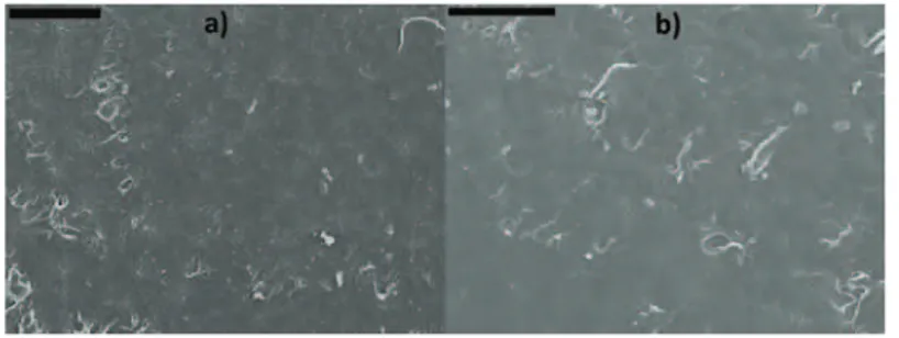 Fig. 3. SEM micrographs of the denture base materials a) PMMA/2.5DTHFI  and b) PMMA/10DTHFI; bar: 200 µm