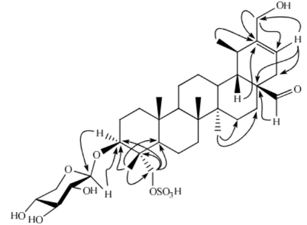 Figure 2. Important HMBC interactions of compound 1 