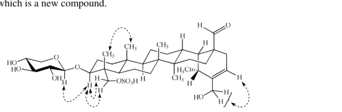 Figure 3. Important NOESY interactions of compound 1 