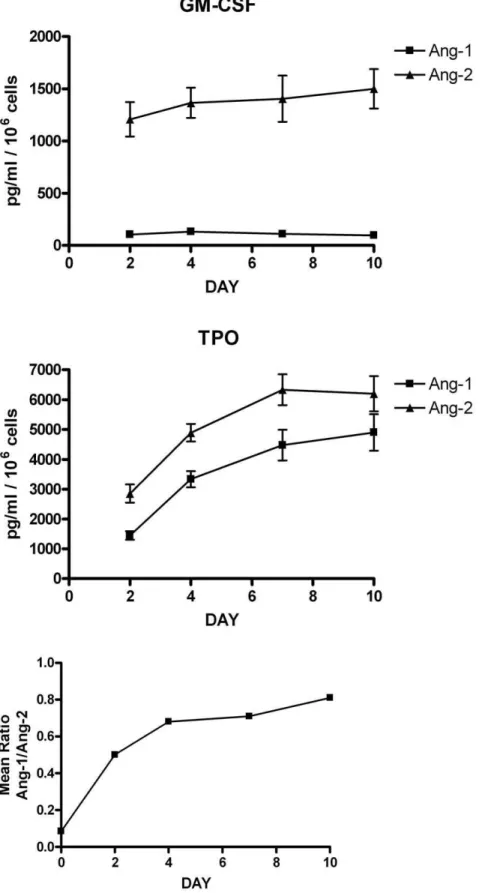 Figure 2. Release of angiopoietins during differentiation of UT7/mpl cells. UT7/mpl cells have been grown for 7 days in the presence of either GM-CSF (Top Panels) or TPO (Middle Panels) and the concentration of Ang-1 and Ang-2 in the culture supernatants w