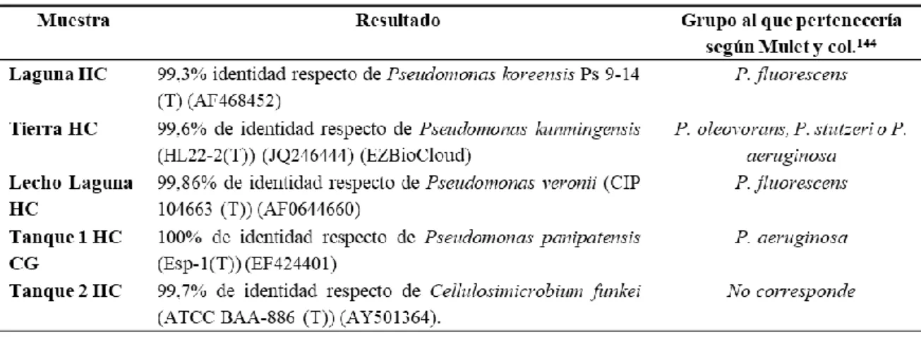 Tabla 1: Resultados obtenidos a partir del análisis del ARNr 16s de las cepas aisladas 