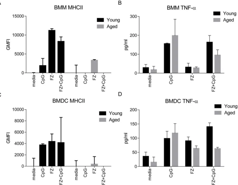 Fig 2. Antigen presenting cells from aged mice do not upregulate MHC class II expression in response to vaccine components in vitro 
