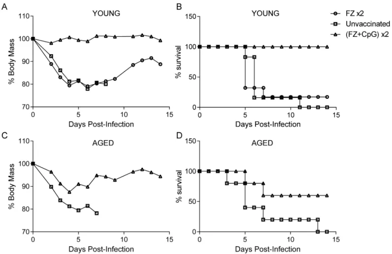 Fig 3. Immunization with two doses of adjuvanted Fluzone vaccine is partially protective in aged mice