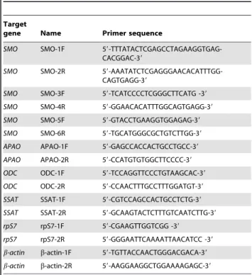 Table 1. Primers used in this study.