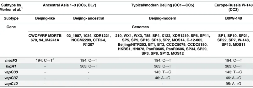 Table 1. The division of Beijing genotype on subtypes using the polymorphisms in five genes belong to type II TA systems.