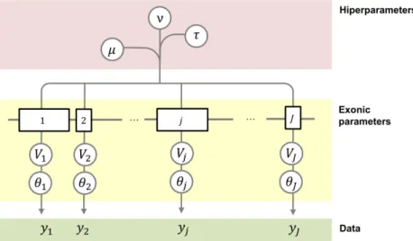 Figure 4.2. Structure of the hierarchical model for the CNV detection and identification problem.