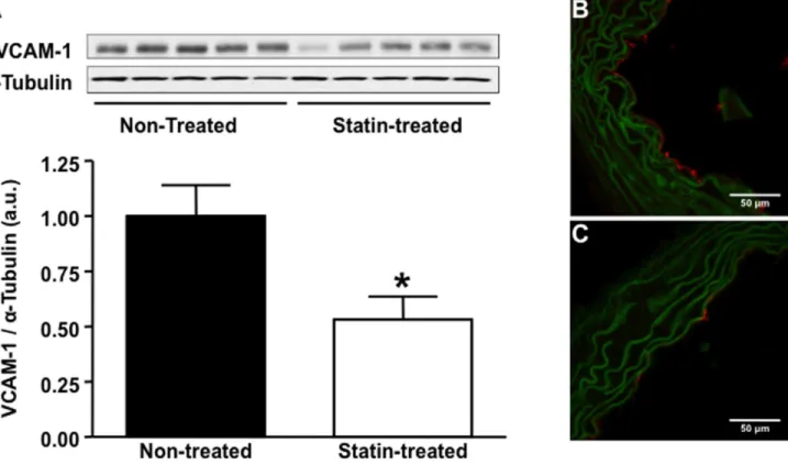 Figure 2. Effect of statin treatment on aortic expression of VCAM-1. (A) VCAM-1 protein expression in the ascending aorta assessed by Western blot in non-treated (lanes 1–5) versus statin treated (lanes 6–10) animals, n = 5 per group, *p,0.01 vs non-treate