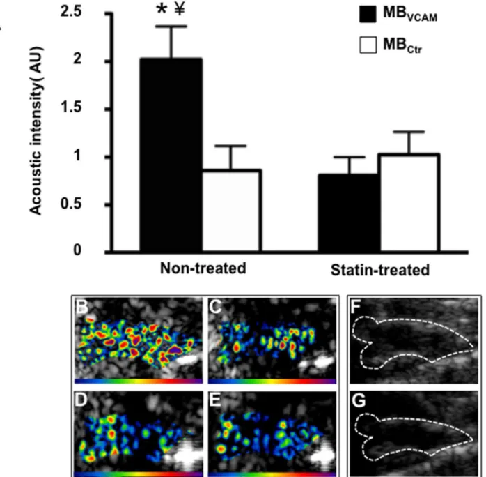 Figure 5. Molecular imaging of the ascending aorta. (A) Mean 6 SEM background-subtracted signal intensity for microbubbles targeted to VCAM-1 (MB VCAM ) and control microbubbles (MB Ctr ) in non-treated (n = 10) and statin treated animals (n = 12)