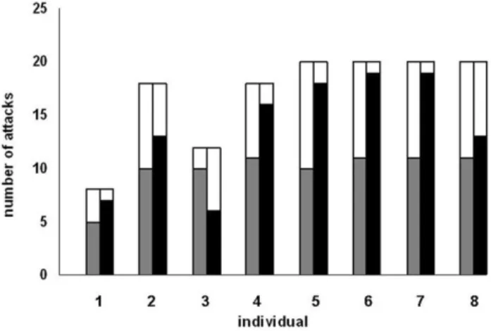 Figure 5. Choice of side and plate in experiment 2. First column: