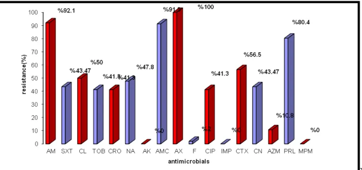 Table 1: MIC value for three antimicrobials (µg/ml) tested against  E. coli  isolates.