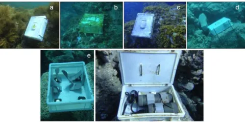 Figure 1. pH sensor cases deployed at each of the phytocenoses studied: (a) Cystoseira abies- abies-marina; (b) Gelidiales and geniculate corallines; (c) Lobophora variegata; (d) Crustose algae.