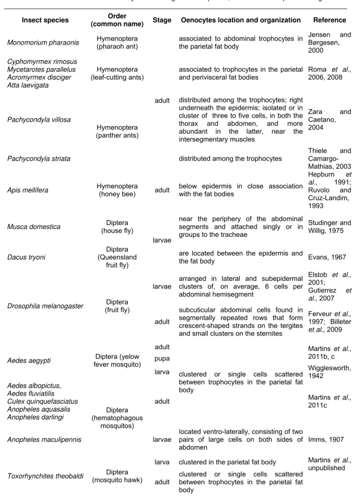Table 1 Distribution and location of oenocytes according to insect species, order and developmental stage  __________________________________________________________________________________________ 
