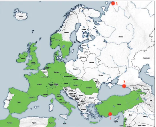 Fig. 1. Map showing the records of H. aenescens: 1 – Turkey, Antalya, near Side; 2 – Russia, Sochi region,  near Veseloe; 3 – Russia, 60 km North of Narjan-Mar, 68.15N 53.65E