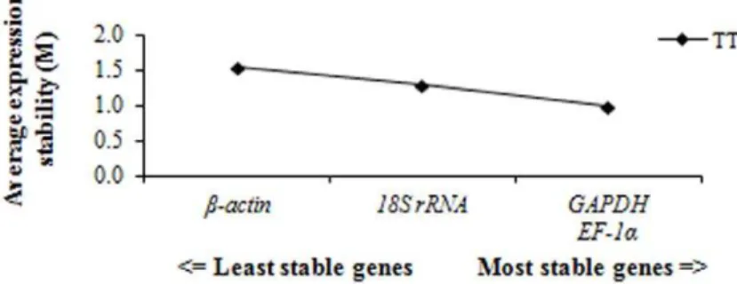 Figure 2. Average expression stability values (M), which is the mean pair-wise variation between an individual gene and all other tested genes, determined by geNorm software