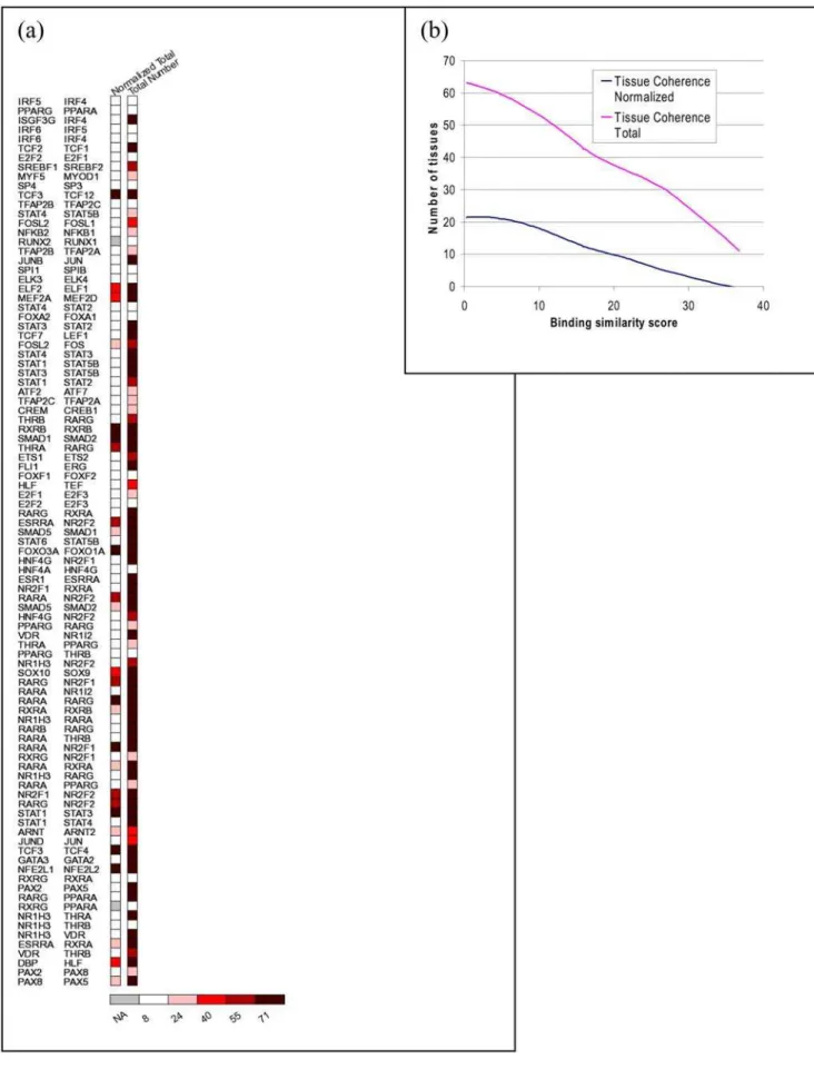 Figure 7. Tissue coherence versus binding site motif similarity between TF paralogs. (a) The 95 paralogous TF pairs are sorted in decreasing order of their DNA binding site motif similarity