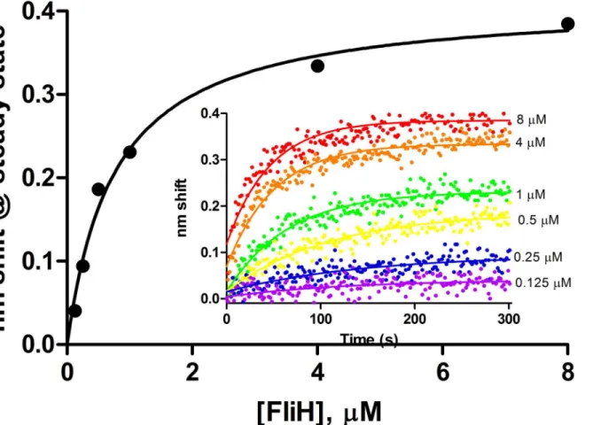 Fig 6. Steady state analysis of FliH binding to full length wild-type FlhB. Association phases from which steady state amplitudes were determined are shown in the inset