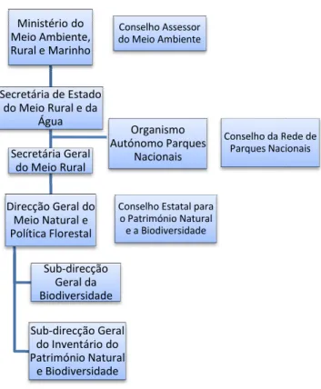 Figura 2. Organigrama representativo das entidade de Espanha 