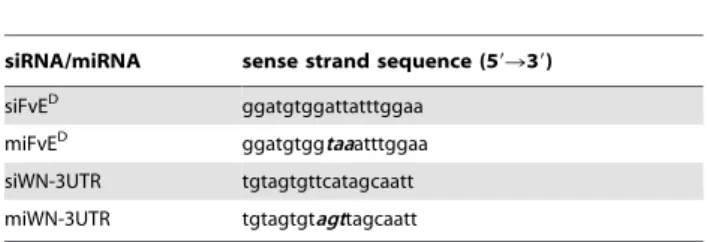 Table 1. Sequence of siRNA and miRNA mimicking oligonucleotides.