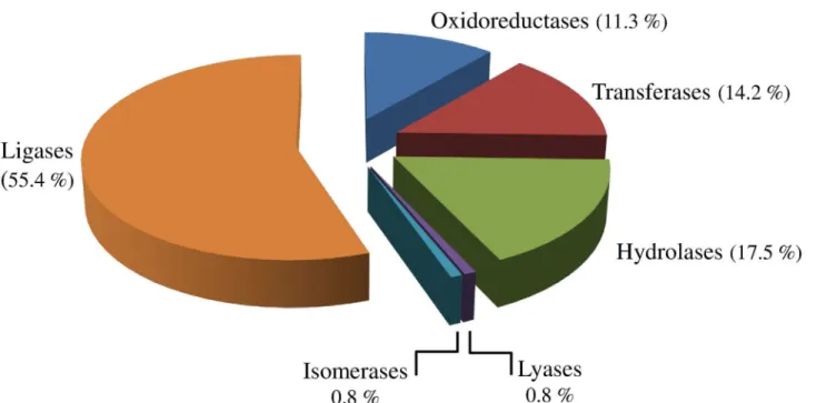 Fig 4. General Enzyme Classification (EC) terms for the contigs of C. sordidus midgut transcriptome