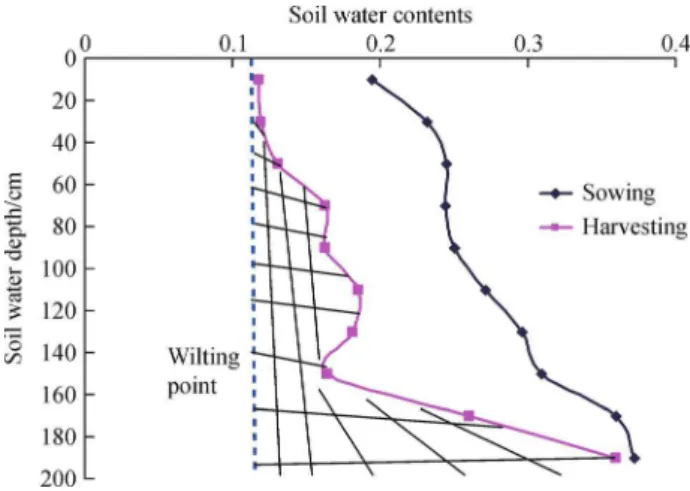 Fig. 5 The soil water contents (V/V) along the soil proﬁle at sowing and at harvesting for winter wheat under limited water supply (The shaded area indicating there was available soil water not extracted by the roots)