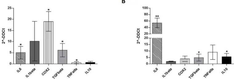 Fig 3. Expression of immunomodulatory factors by CML-MSC. Compared to HD-MSC, CML-MSC showedsignificant up-regulation of IL6, COX2and TGFβ at Time 0 (A) and overexpressed IL6, TGFβ and IL10 after 48 h of co-culture with PBMC (B)
