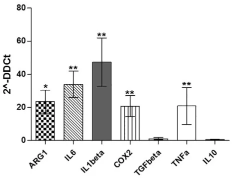 Fig 4. Expression of immunomodulatoryfactors by MSCedG-MDSC. Compared to HD-,
