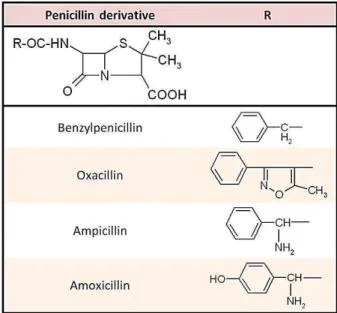 Figure 1. The chemical structure of the studied penicillins 4,9 